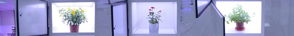 chambre de croissance des plantes
