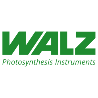 Walz